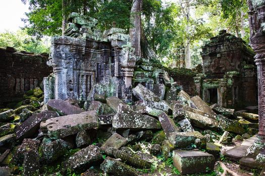 Ta Phrom temple in Angkor in Cambodia