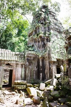 Ta Phrom temple in Angkor in Cambodia