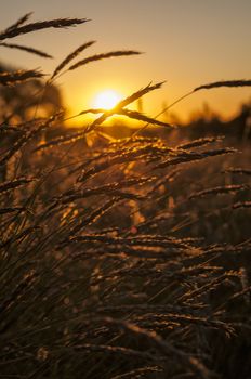 Sunset in the Outback, New Wales, Australia