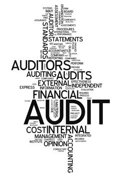 Word Cloud "Audit"