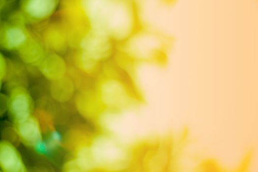 
light out of focus background blur green colored