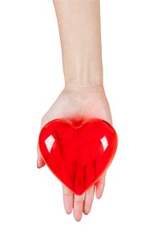 Heart in the hands isolated on white background