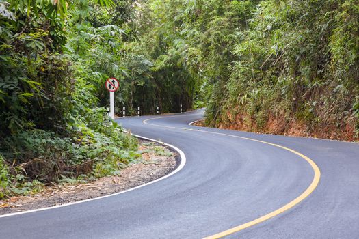 "S" curved asphalt road view in the forest