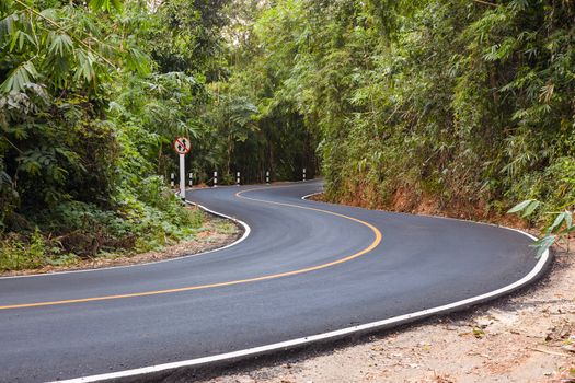 "S" curved asphalt road view in the forest