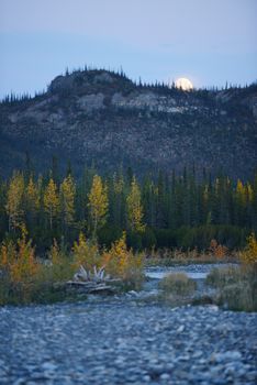 alaskan tundra in autumn