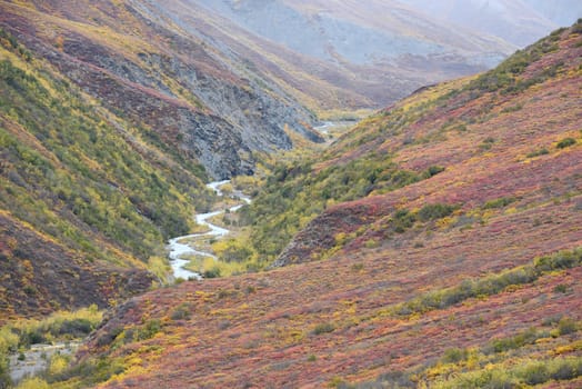 alaskan tundra in autumn