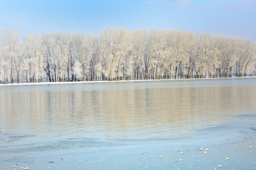 Frosty winter trees near Danube river