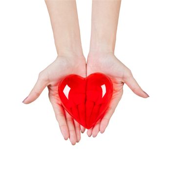 Heart in the hands isolated on white background