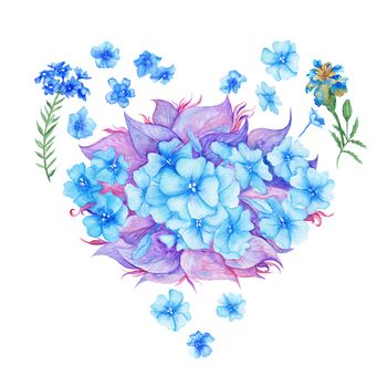 Valentine romantic illustration with heart shape made of hydrangea flowers isolated on white