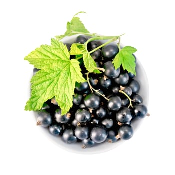 Black currants in a white bowl with green leaf isolated on white background top