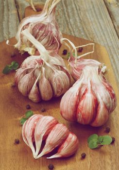 Fresh Raw Pink Garlic Full Body with Greens and Black Peppercorn closeup on Cutting Board on Rustic Wooden background. Retro Styled