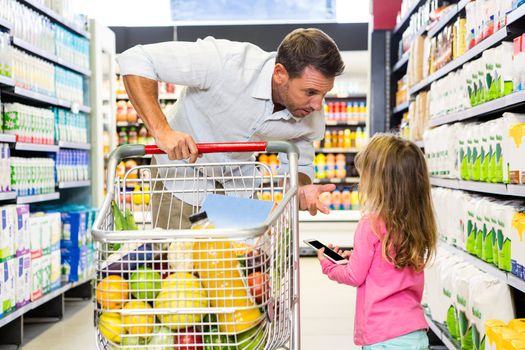 Father and daughter doing shopping in grocery store