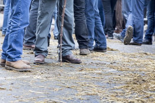 France, farmers rally in january 2016, crisis, anger about common agricultural policy