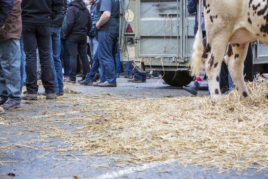 France, farmers rally in january 2016, crisis, anger about common agricultural policy