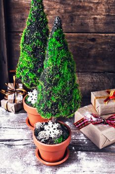 small symbolic cypress tree in pot decorated with snowflake and boxes with Christmas  gifts