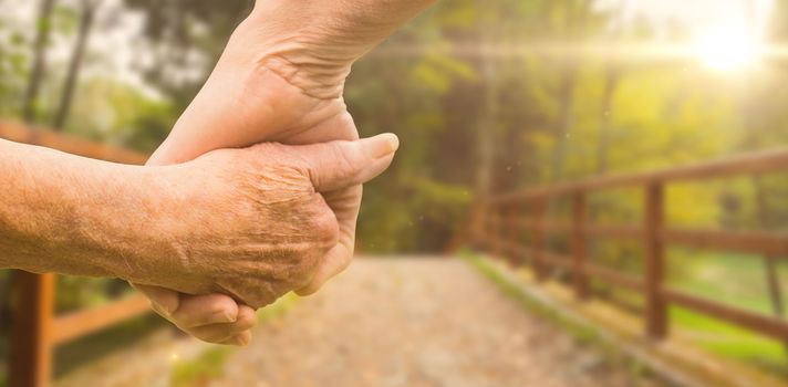 Elderly couple holding hands against bridge with railings leading towards forest