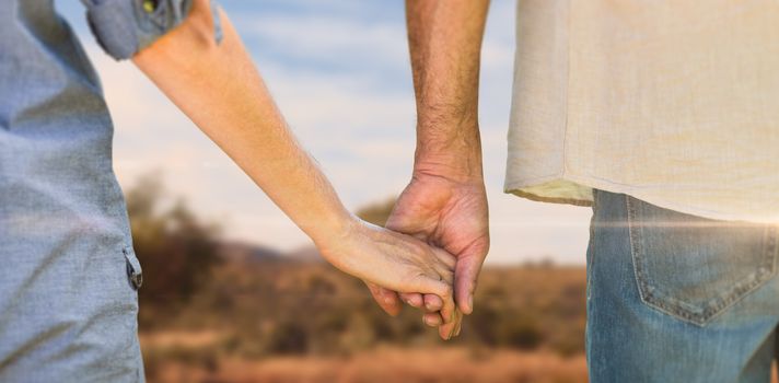 Couple holding hands in park against lake