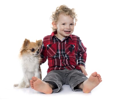 little boy and chihuahua in front of white background