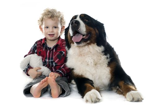 little boy and dog in front of white background