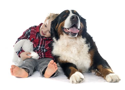 little boy and dog in front of white background