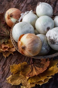 rural harvest onions on wooden table top