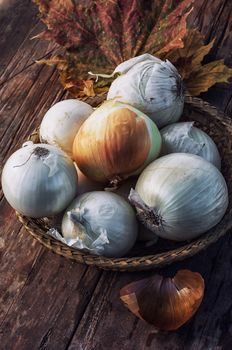 rural harvest onions on wooden table top