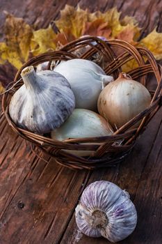rural harvest onions on wooden table top