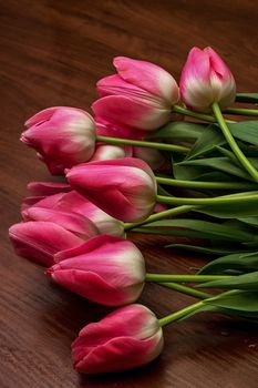 blossoming tidy tulips on old wood background