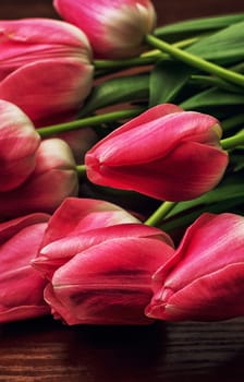 blossoming tidy tulips on old wood background