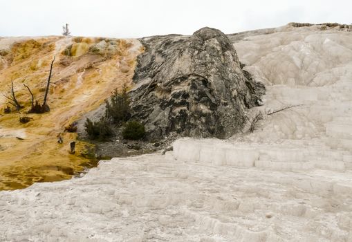 Steaming hot water carrying minerals from underground made colorful terraces In Yellowstone National Park, Wyoming USA.