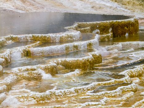 Steaming hot water carrying minerals from underground made colorful terraces In Yellowstone National Park, Wyoming USA.