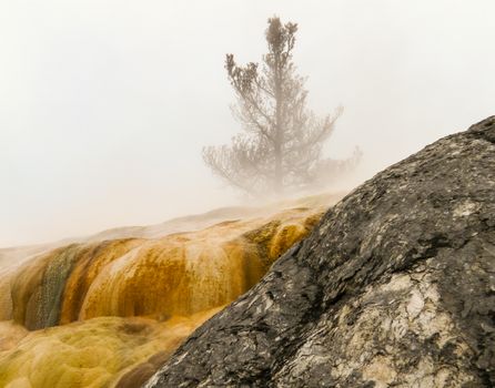 Steaming hot water carrying minerals from underground In Yellowstone National Park, Wyoming USA.