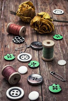 sewing thread, with buttons on wooden background with buds dried yellow roses