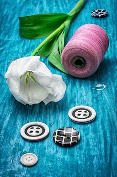 one white tulip and buttons with threads on turquoise wooden background