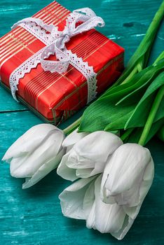Packed gift box amid a bouquet of white tulips