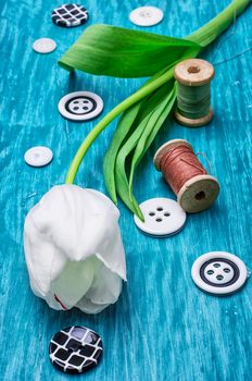 one white tulip and buttons with threads on turquoise wooden background