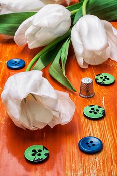 white tulip and buttons with thread on orange wooden background
