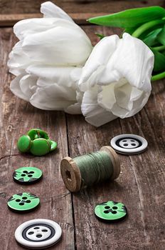 set of sewing accessories from threads and buttons on the background of white tulips