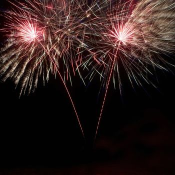 Colorful fireworks on the black sky background