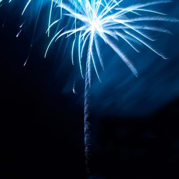 Colorful fireworks on the black sky background