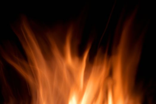 Abstract fire isolated on the black background