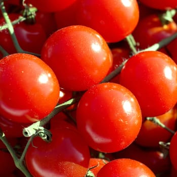 Red tomatoes can be used for background