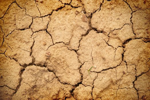 Dry yellow soil in the desert. Texture for background