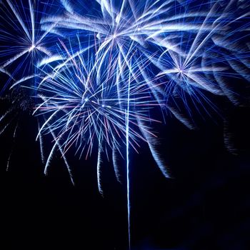 Colorful fireworks on the black sky background