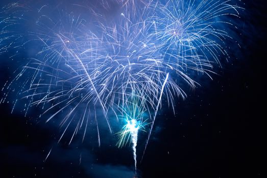 Colorful holiday fireworks on the black sky background.