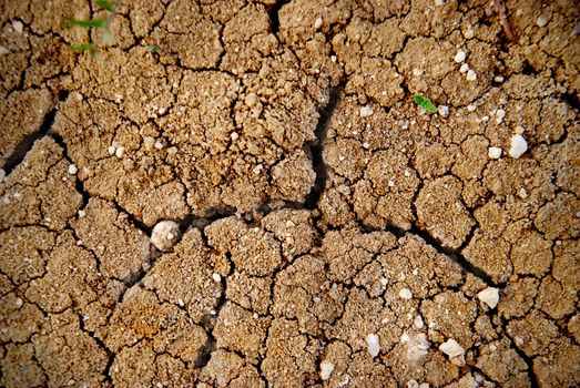 Dry yellow soil in the desert. Texture for background