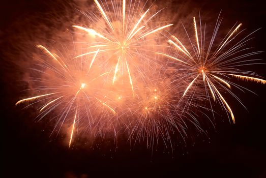 Colorful holiday fireworks on the black sky background.