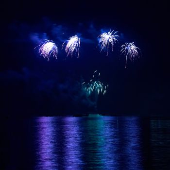 Colorful holiday fireworks on the black sky background.