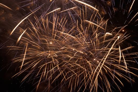 Colorful holiday fireworks on the black sky background.