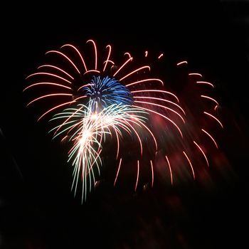 Blue and red colorful holiday fireworks on the black sky background.